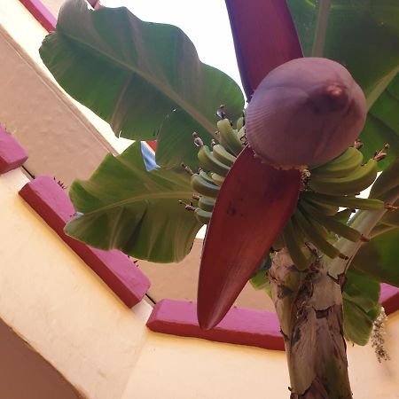 Marino Tenerife Арона Екстериор снимка